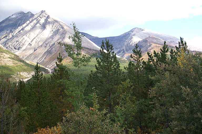 DC 429 - Sawtooth Mountains - 42788