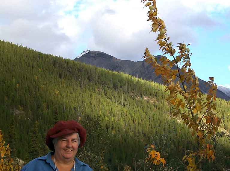 DC 437 - Strawberry Flats Campground, looking South - 34351