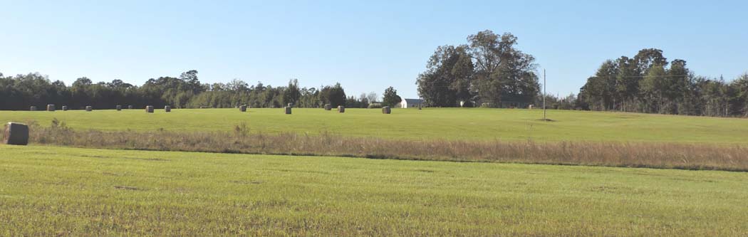 Across the Pond from CR-31