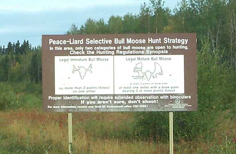 DC 58 - Moose Hunting Warning - 60319